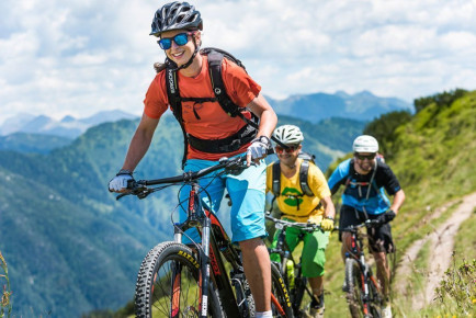 Mountainbiken - Sommerurlaub in Flachau, Salzburger Land