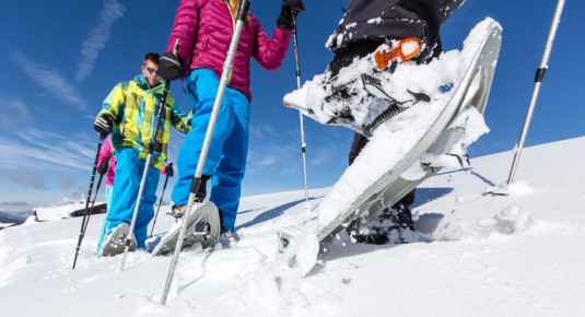 Schneeschuhwandern - Winterurlaub in Filzmoos, Ski amadé