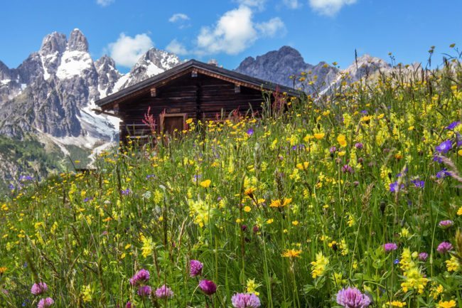 Sommerurlaub in Filzmoos, Salzburger Land