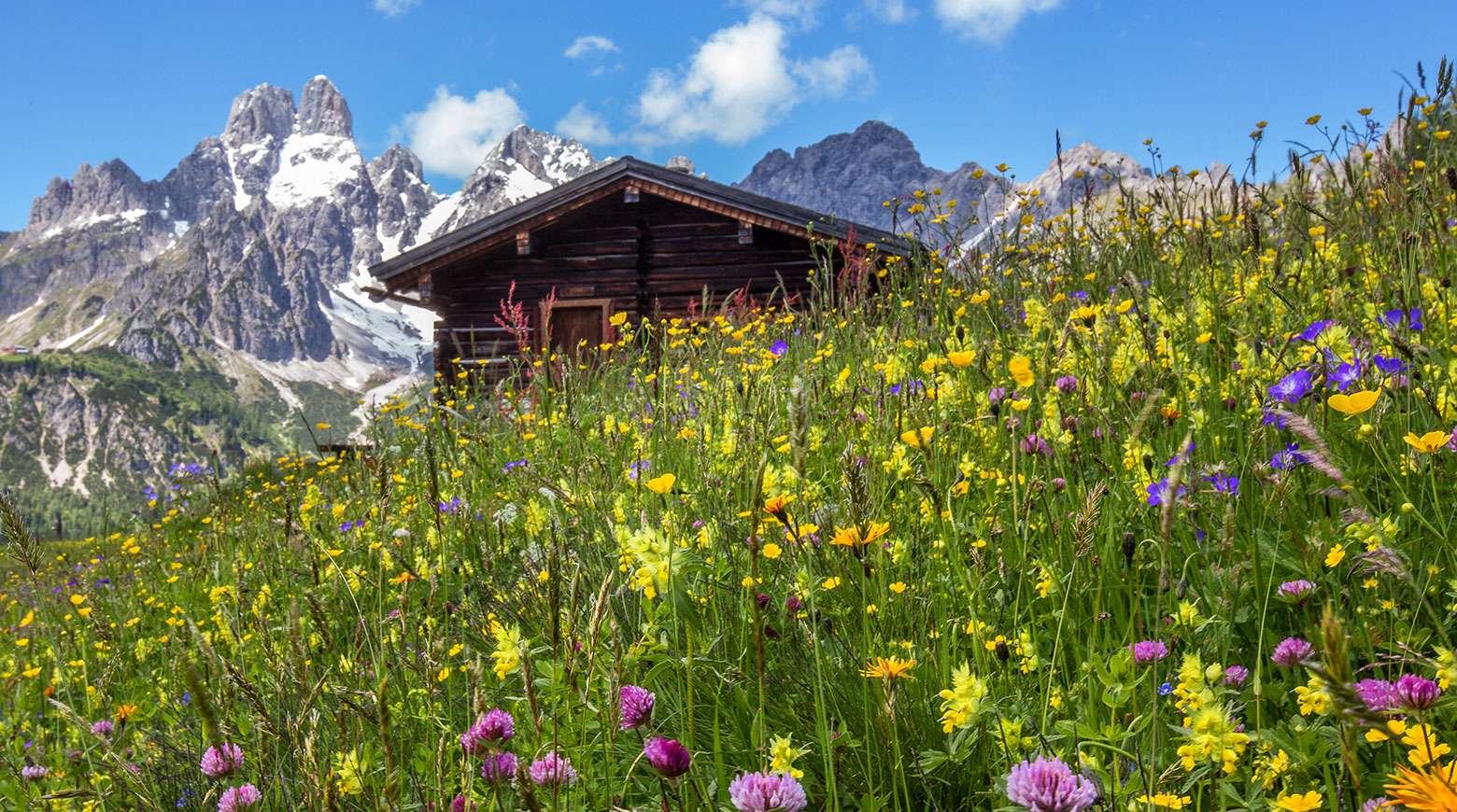 Sommerurlaub in Filzmoos, Salzburger Land