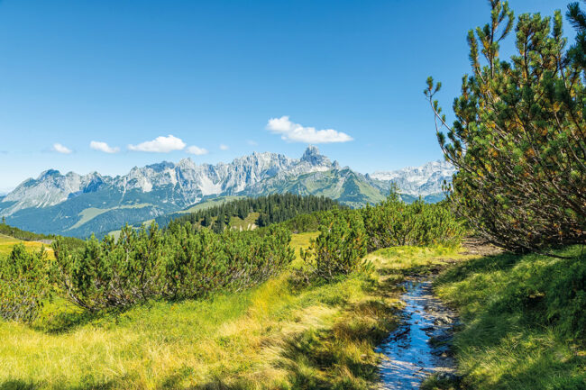 Wandern - Sommerurlaub in Filzmoos