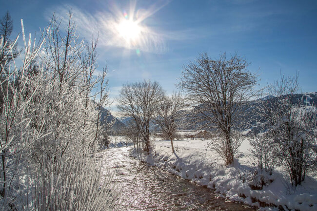 Winterurlaub in Flachau, Ski amadé
