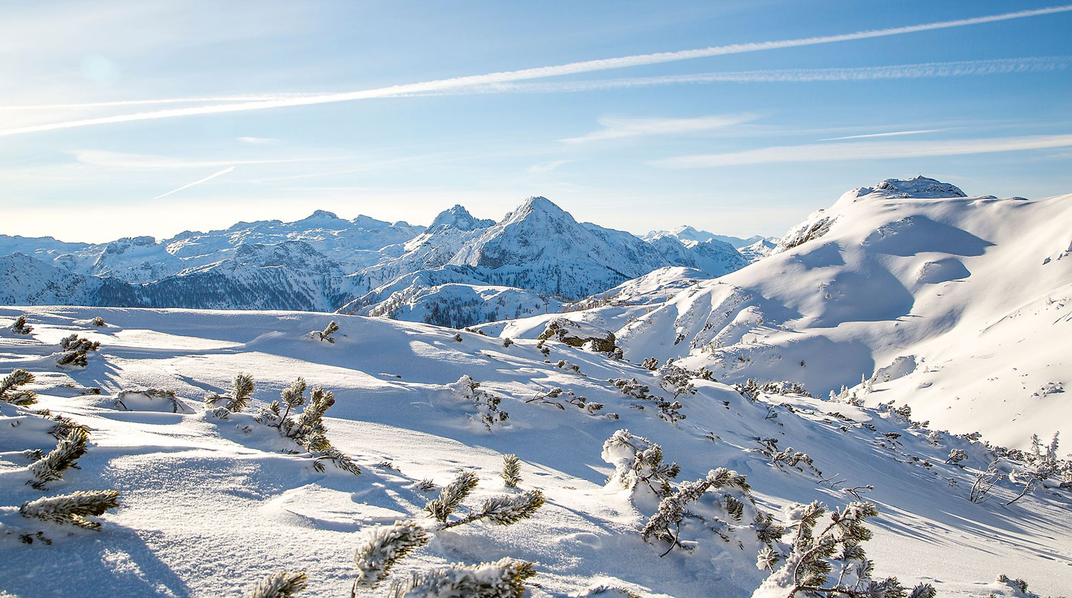 Winterurlaub & Skiurlaub in Flachau, Ski amadé